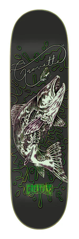 Creature Skateboards: 8.51 Gravette Keepsake VX Deck